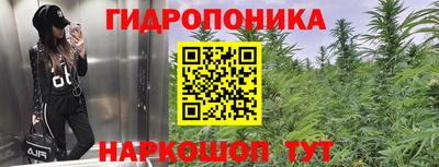 прущие грибы Ливны