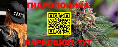 jwh Лесосибирск