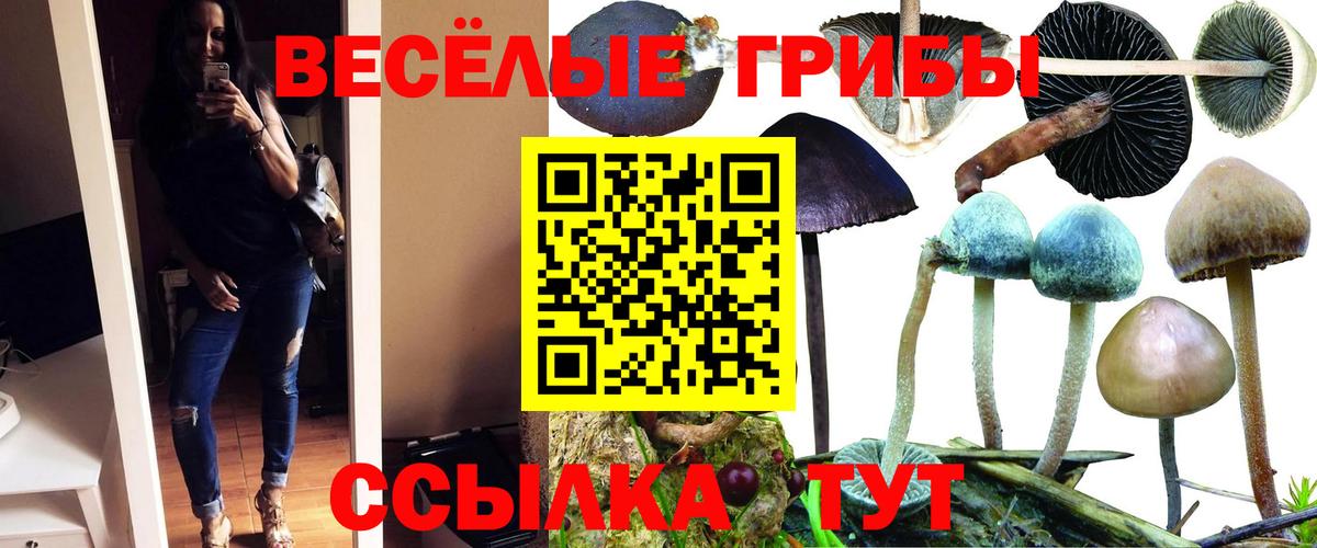 Галлюциногенные грибы прущие грибы  Вход с VPN  Самара  сколько стоит  Галлюциногенные грибы мицелий 